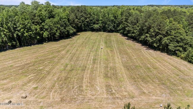 0 Newtown Loop Rd, Home with 0 bedrooms, 0 bathrooms and null parking in Atkinson NC | Image 4