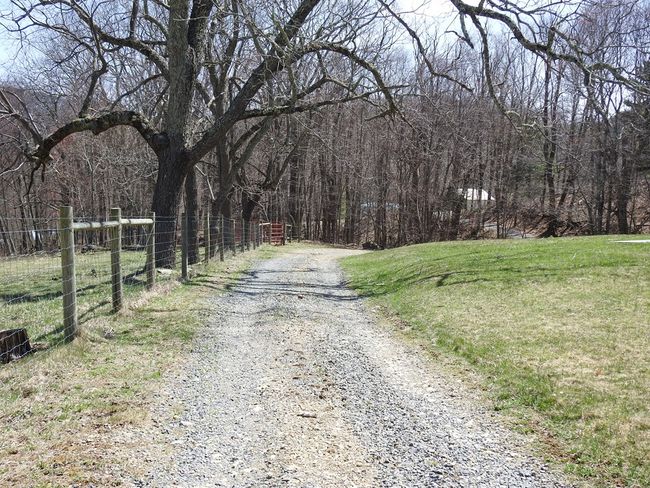 984 Cloverdale Rd, House other with 4 bedrooms, 1 bathrooms and null parking in Independence VA | Image 34