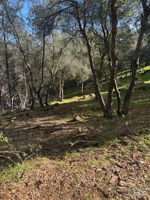 214 Colt Ct, Pope Valley, CA, 94567-9445 | Card Image