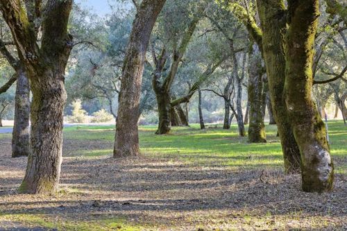 11 Arroyo Sequoia, Carmel, CA, 93923-7701 | Card Image