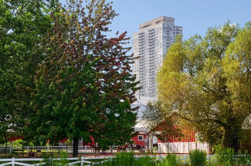 9j-2020 N Lincoln Park W, Chicago, IL, 60614-4726 | Card Image