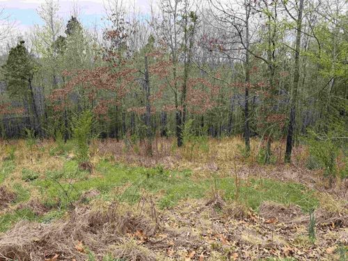 000 Birdie Ln, Mountain View, AR, 72560 | Card Image