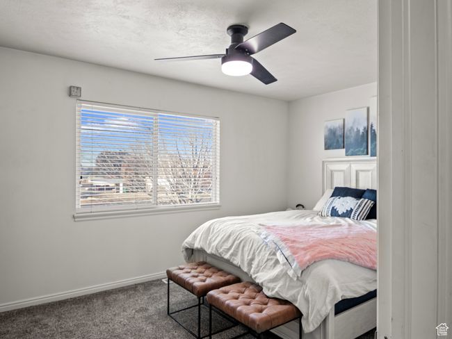 Carpeted bedroom featuring ceiling fan and multiple windows | Image 18
