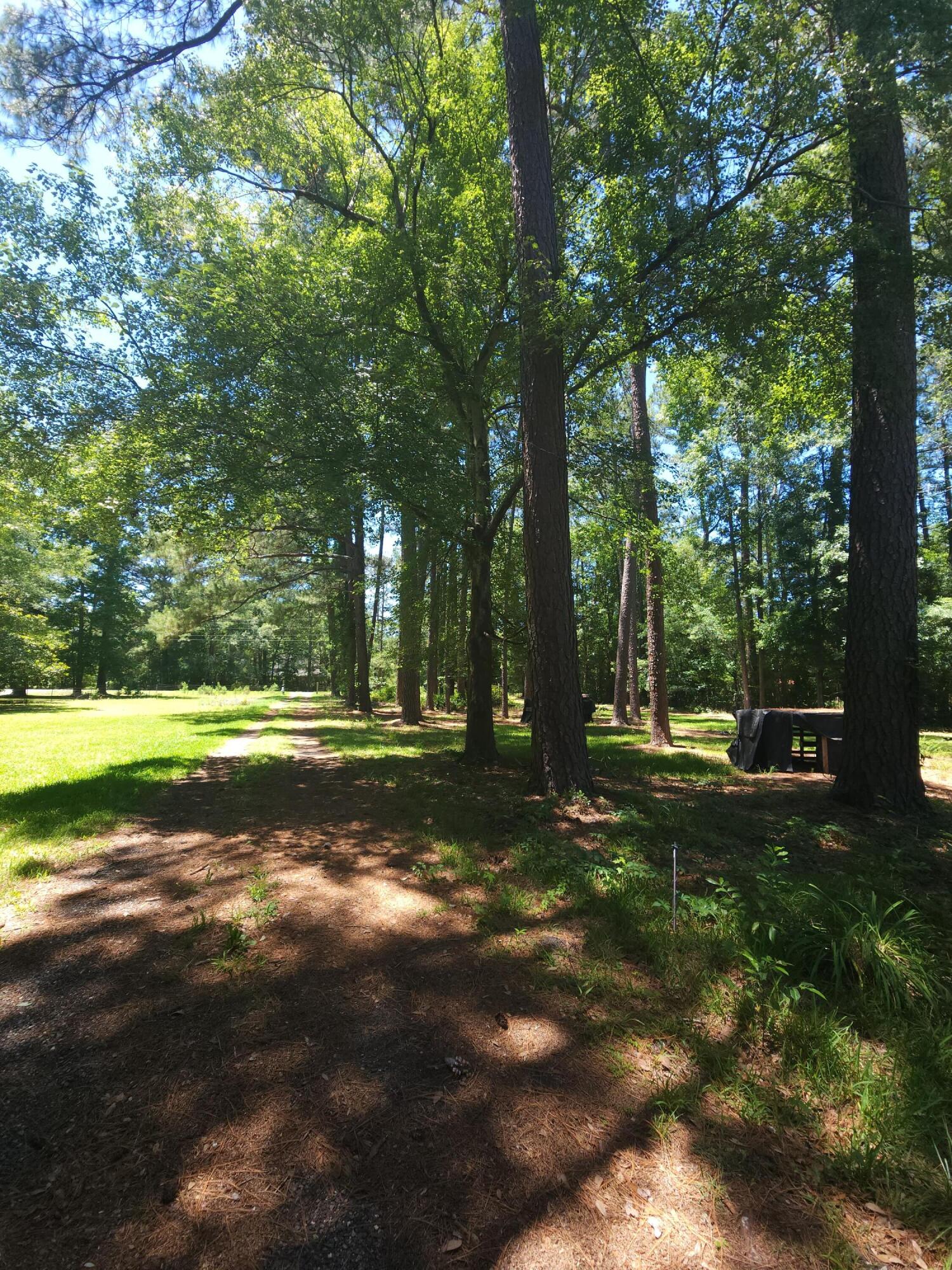 Residential in Ridgeville 5