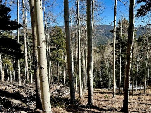 51 Via De Maria, Angel Fire, NM, 87710 | Card Image