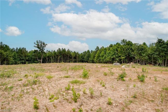 931 Nc Highway 705, Home with 0 bedrooms, 0 bathrooms and null parking in Seagrove NC | Image 17