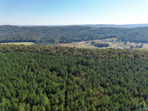 177 AC Mountain Drive, Remlap, AL, 35133 | Card Image