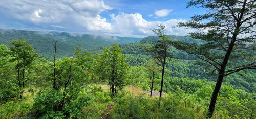 0 Eagle Point Dr, Monteagle, TN, 37356 | Card Image
