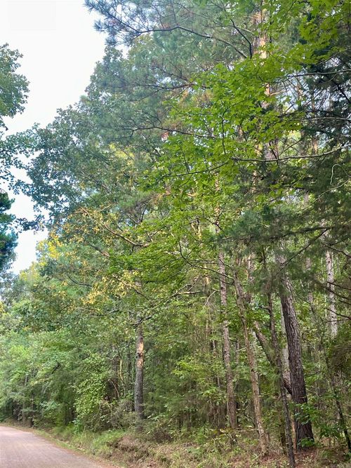 TBD County Road 32, Doddridge, AR, 71834 | Card Image