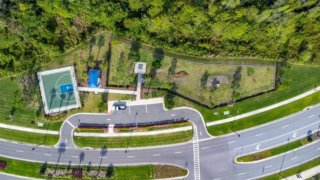 16153 Soft Fern Trce, House other with 4 bedrooms, 3 bathrooms and null parking in ODESSA FL | Image 41