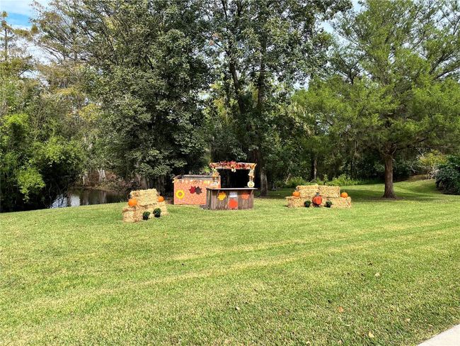 3067 Ne 102 Nd Avenue Rd, House other with 1 bedrooms, 1 bathrooms and null parking in SILVER SPRINGS FL | Image 83