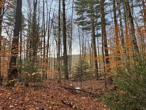 41 Hampshire Hill Rd, Worcester, VT, 05682-8902 | Card Image