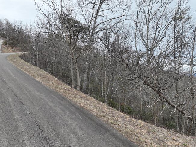 235 Andes Rdg, Home with 0 bedrooms, 0 bathrooms and null parking in Ellijay GA | Image 24