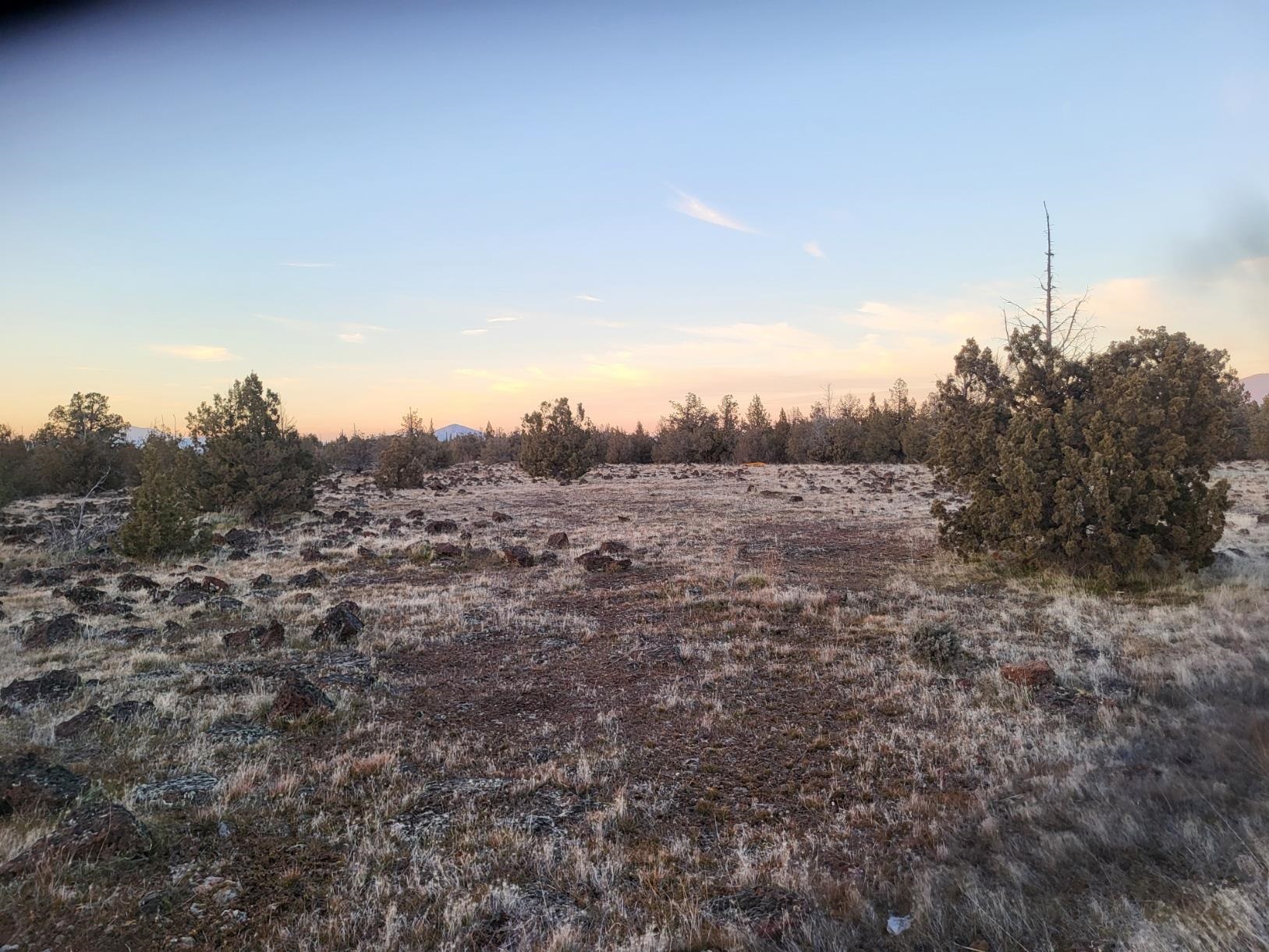 Land in Montague