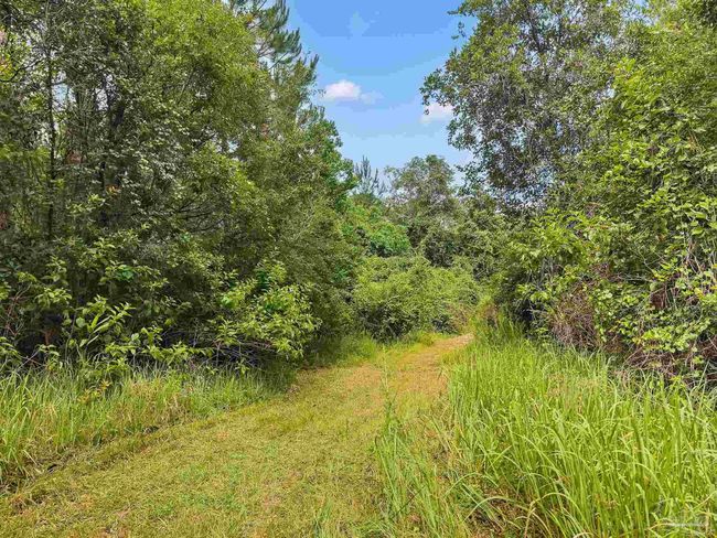 6640 Frank Reeder Rd, House other with 3 bedrooms, 2 bathrooms and 1 parking in Pensacola FL | Image 34