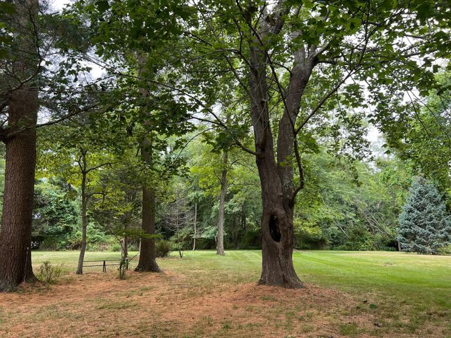 yard | Image 7