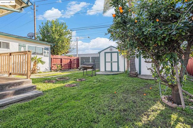 Rear Yard | Image 14