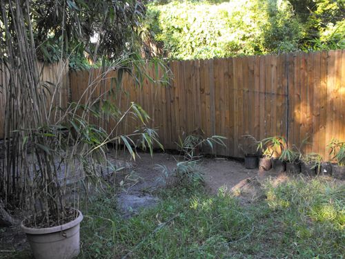 1-2351 Ernest St, JACKSONVILLE, FL, 32204-3115 | Card Image