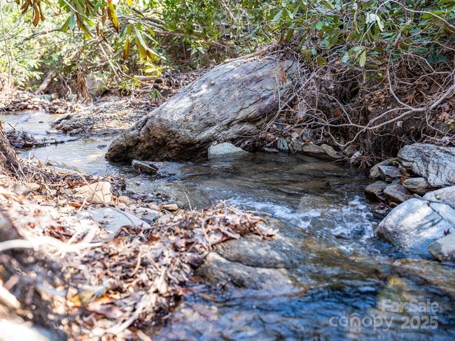 community creek just across the street | Image 8