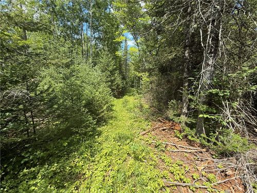 00 County Rd, LAKE NEBAGAMON, WI, 54849 | Card Image
