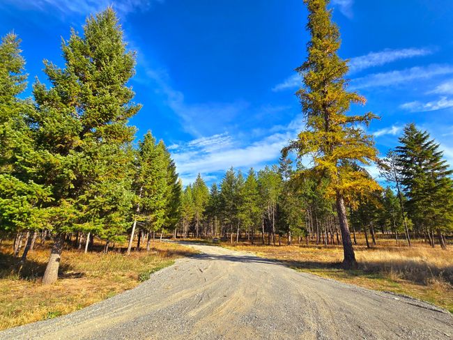 19 Faro Ln, Home with 0 bedrooms, 0 bathrooms and null parking in Trout Creek MT | Image 11