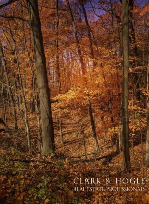 0 Lakeside Dr, Perrinton, MI, 48871 | Card Image