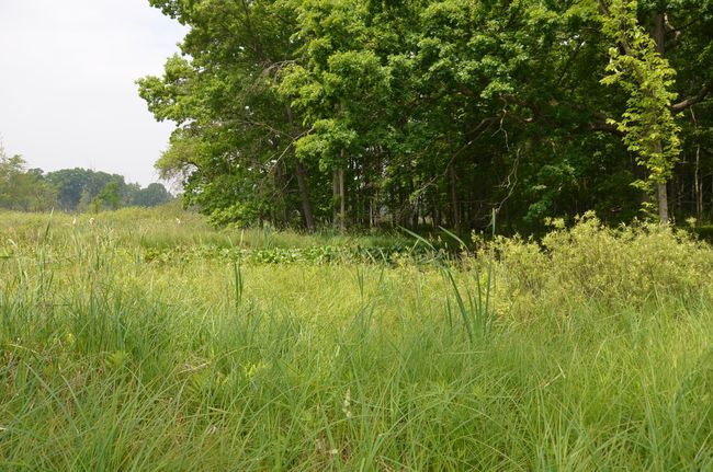 4500 S 42 Nd St, Home with 0 bedrooms, 0 bathrooms and null parking in Climax MI | Image 39