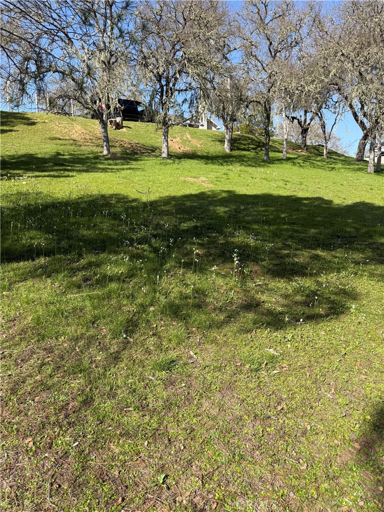 Land in Bradley 2