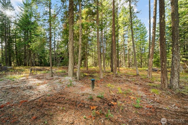 0 S Shugart Flats Rd, Home with 0 bedrooms, 0 bathrooms and null parking in Leavenworth WA | Image 19