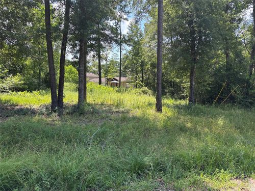 0 Indian Trails, Willis, TX, 77378 | Card Image