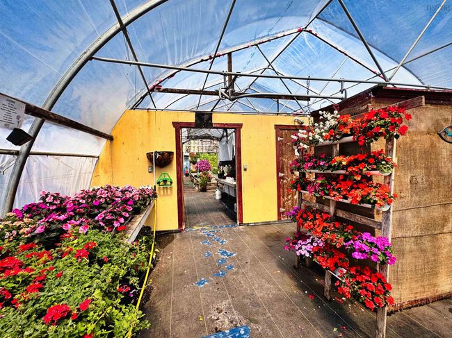 9651 Grenville St, Home with 0 bedrooms, 0 bathrooms and 1 parking in Saint Peters NS | Image 31