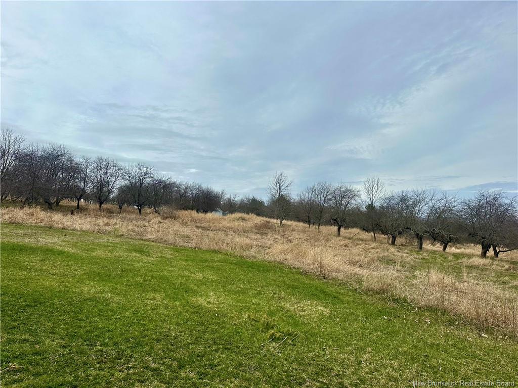 Land in Keswick Ridge 3
