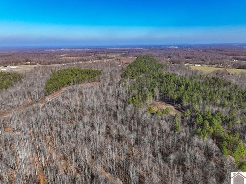 000 State Route 818 North, Kuttawa, KY, 42055 | Card Image