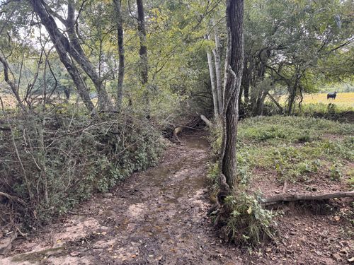 0 Fuss Hollow Rd, Petersburg, TN, 37144 | Card Image