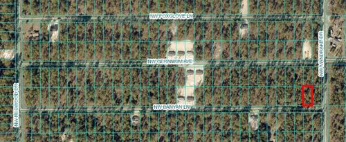 TBD Nw Banyan Ln, Lot 35, Dunnellon, FL, 34431 | Card Image