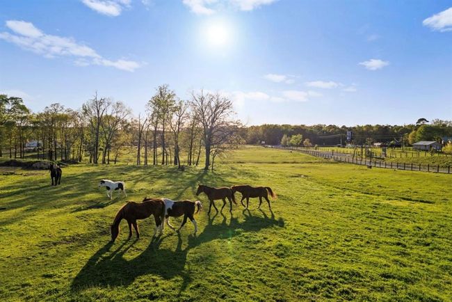 View of community with fence and a rural view | Image 16