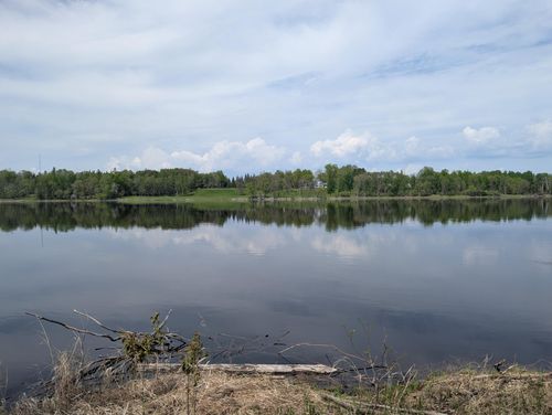 TBD Town Road 117, Baudette, MN, 56623 | Card Image