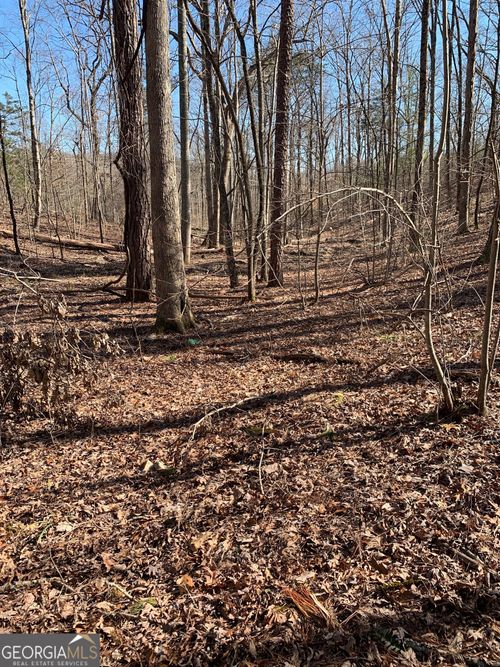 1986 Jones Ave, Jasper, GA, 30143 | Card Image