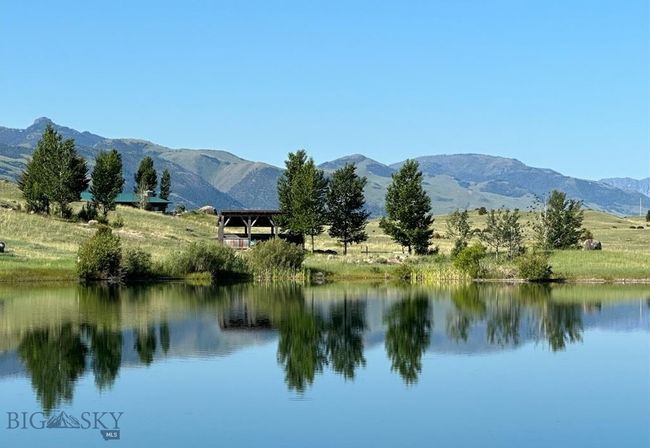 fishing pond in summer | Image 82