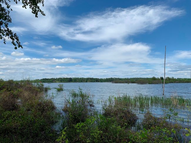 3200 Shadow Pine Dr, Home with 0 bedrooms, 0 bathrooms and null parking in LaRue TX | Image 15