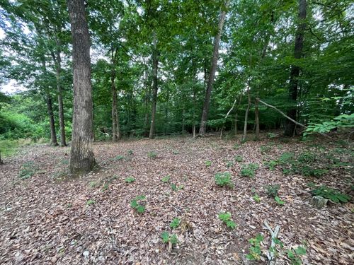 3278 Hillside Pl, White Pine, TN, 37890-4825 | Card Image