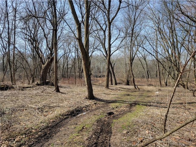 0 River Rd, Home with 0 bedrooms, 0 bathrooms and null parking in Wampum PA | Image 4