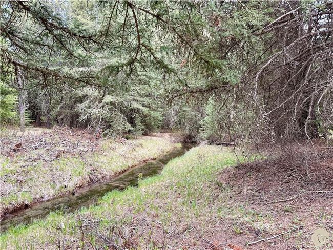C 10 Basting Tracts, Home with 0 bedrooms, 0 bathrooms and null parking in Cooke City MT | Image 4