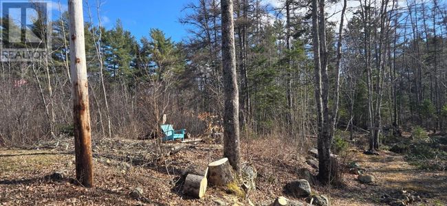 11799 Highway 8, Home with 0 bedrooms, 0 bathrooms and null parking in Caledonia NS | Image 23