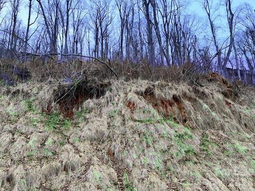 89 Weeping Cherry Forest Rd, Fairview, NC, 28730-8669 | Card Image