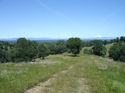 LOT 58 Pimlico Ct, Cottonwood, CA, 96022 | Card Image