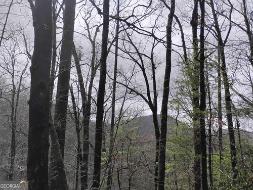 0 LOT 289 Cobblewood Trail, Sky Valley, GA, 30537 | Card Image