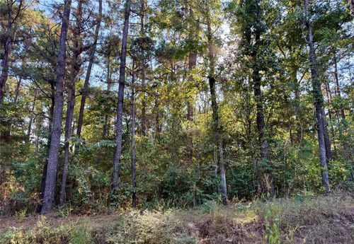 TBD Ole Long Pull Rd, Livingston, TX, 77351 | Card Image