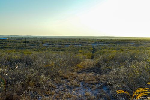 TBD Live Oak Spur, George West, TX, 78022 | Card Image