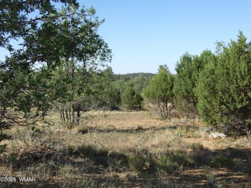 Parcel B Lamb Dr, Pinedale, AZ, 85934 | Card Image
